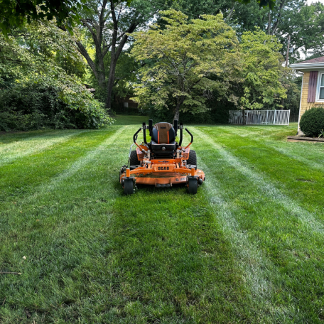 Best Landscaping Services Louisville, Kentucky